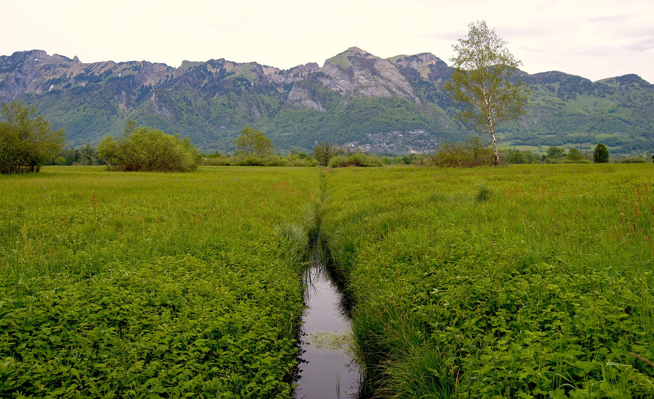 Vermessung von Graben und Drainagen